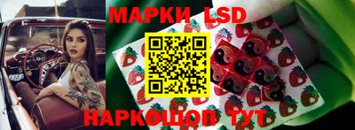 PSILOCYBIN Бугуруслан