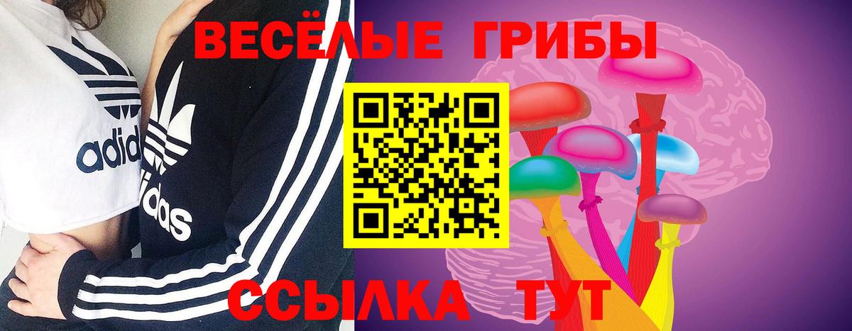 Галлюциногенные грибы Psilocybe  продажа наркотиков  Вход с VPN  Сибай  Галлюциногенные грибы Psilocybe 